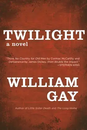 Twilight poster