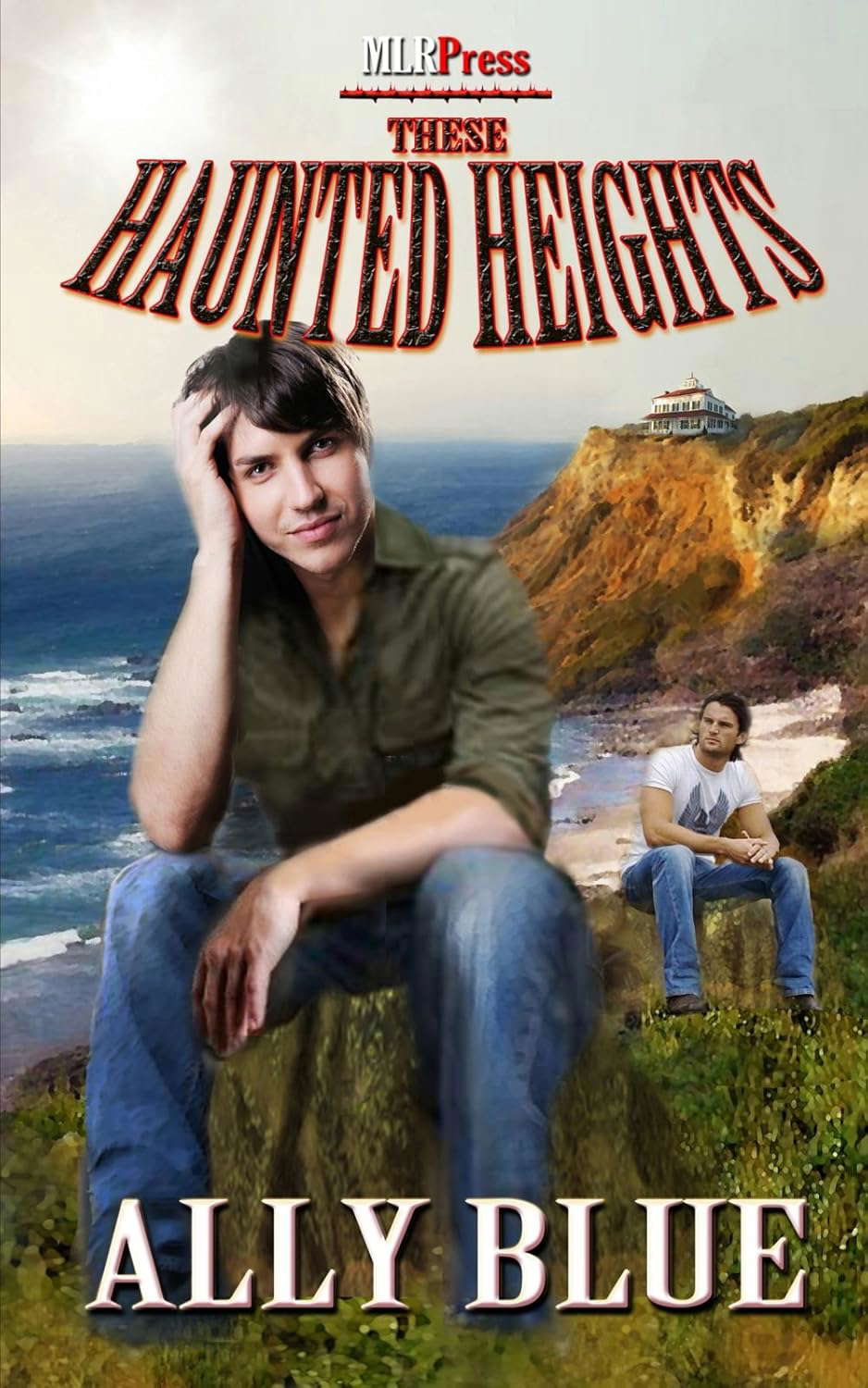 These Haunted Heights poster