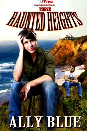 These Haunted Heights poster