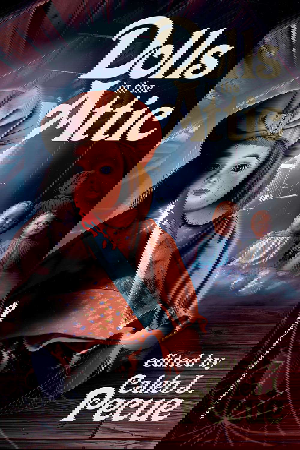 Dolls in the Attic poster