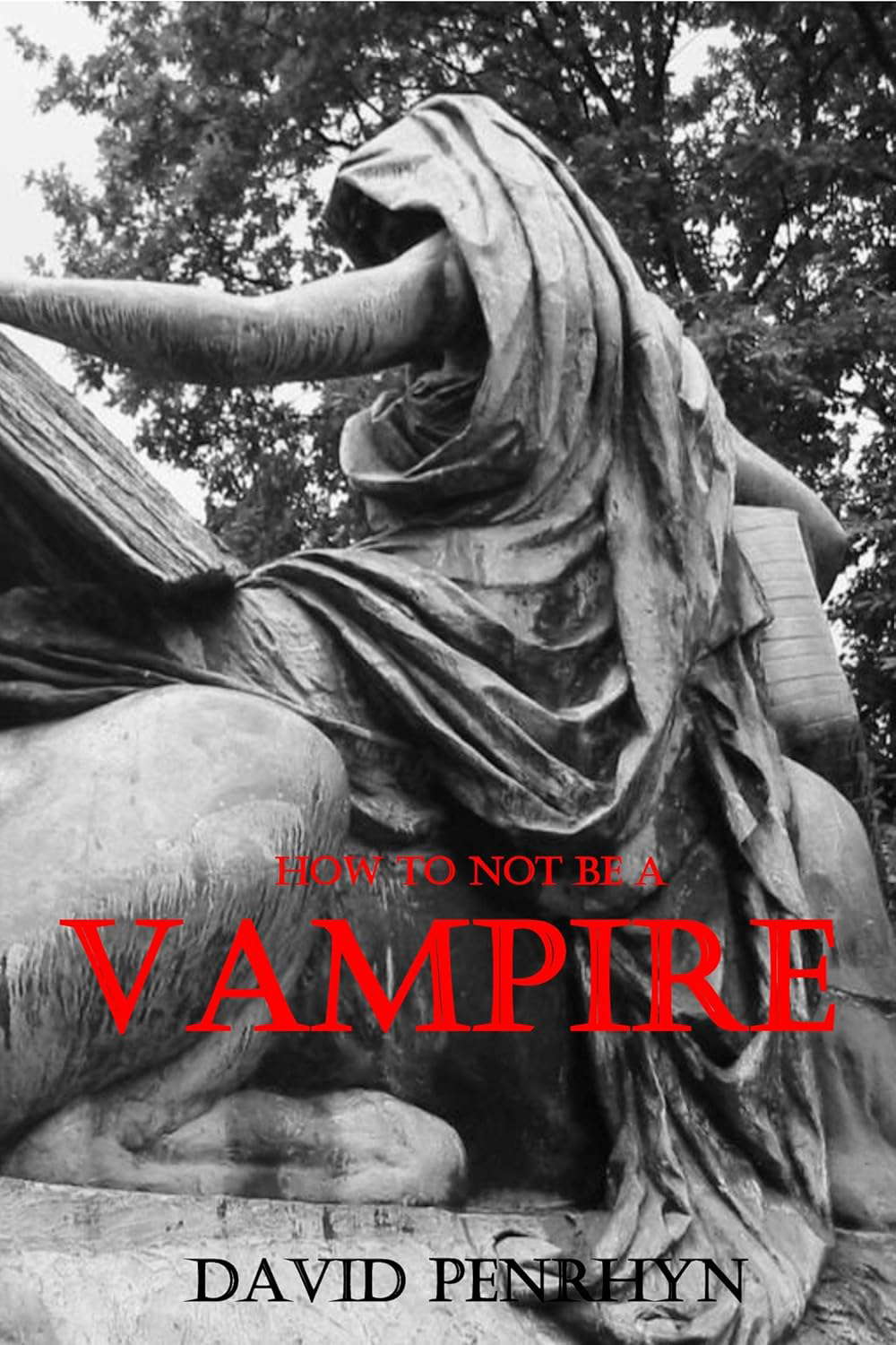 How To Not Be A Vampire poster