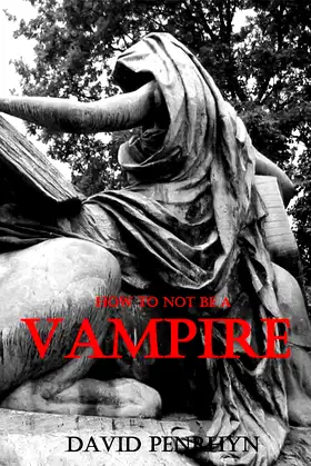 How To Not Be A Vampire poster