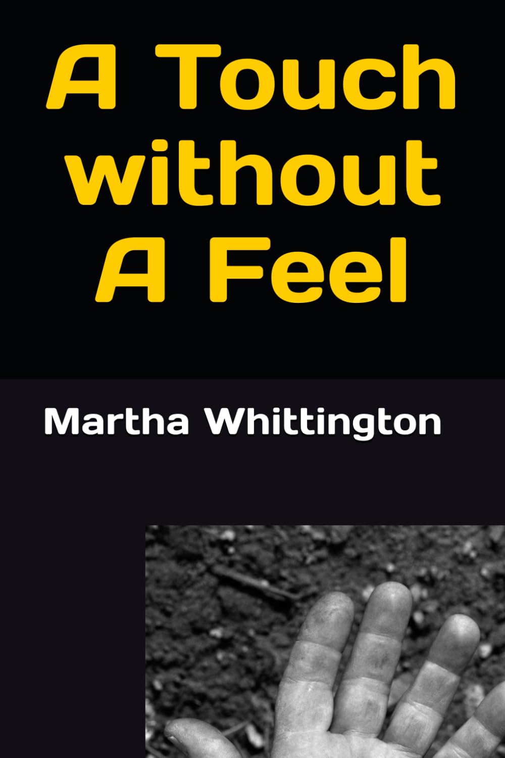 A Touch without A Feel poster