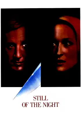 Still of the Night poster
