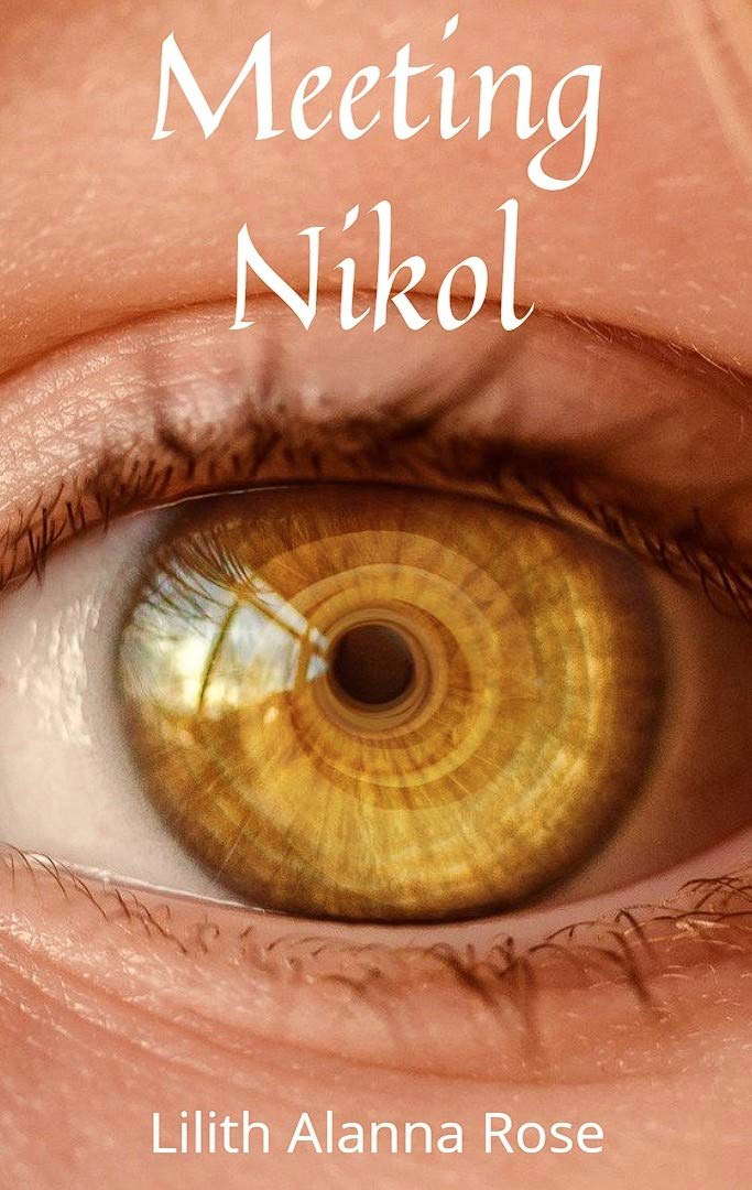 Meeting Nikol poster