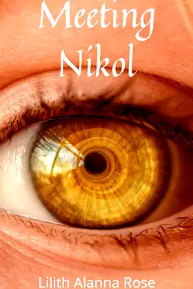 Meeting Nikol poster