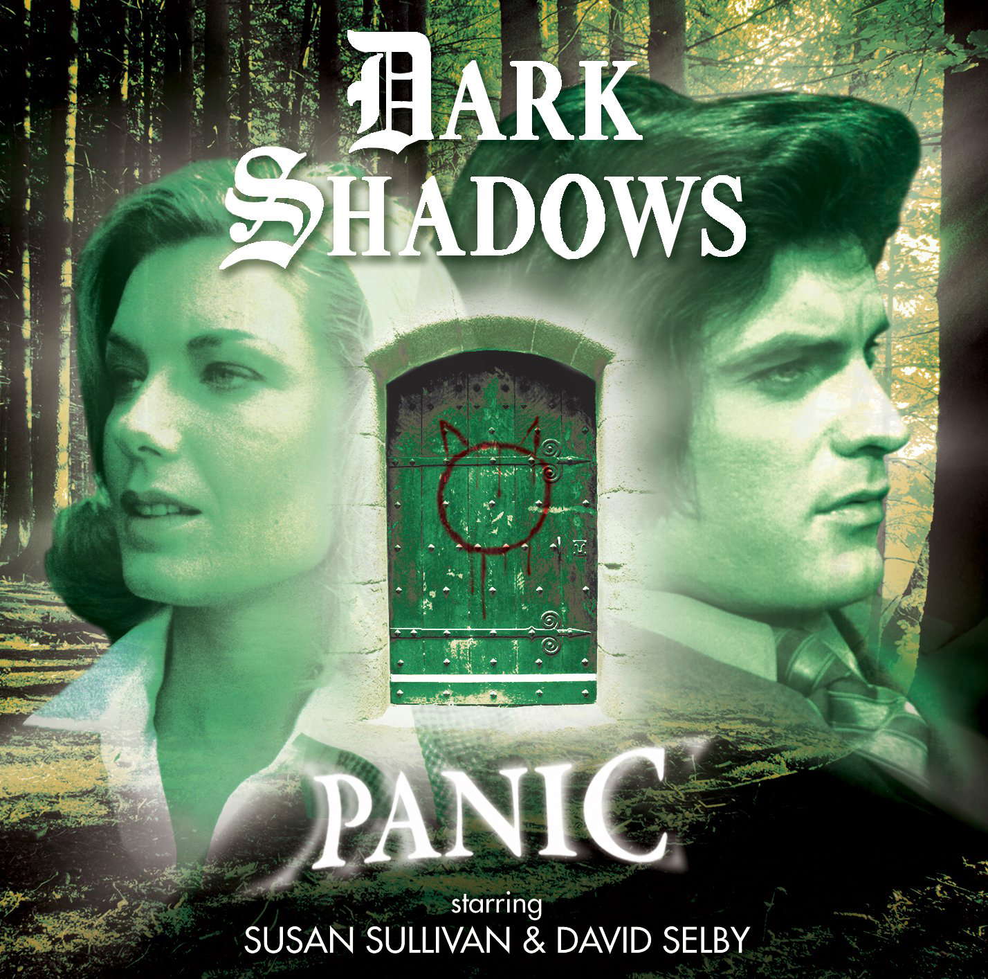 Panic (Dark Shadows) poster