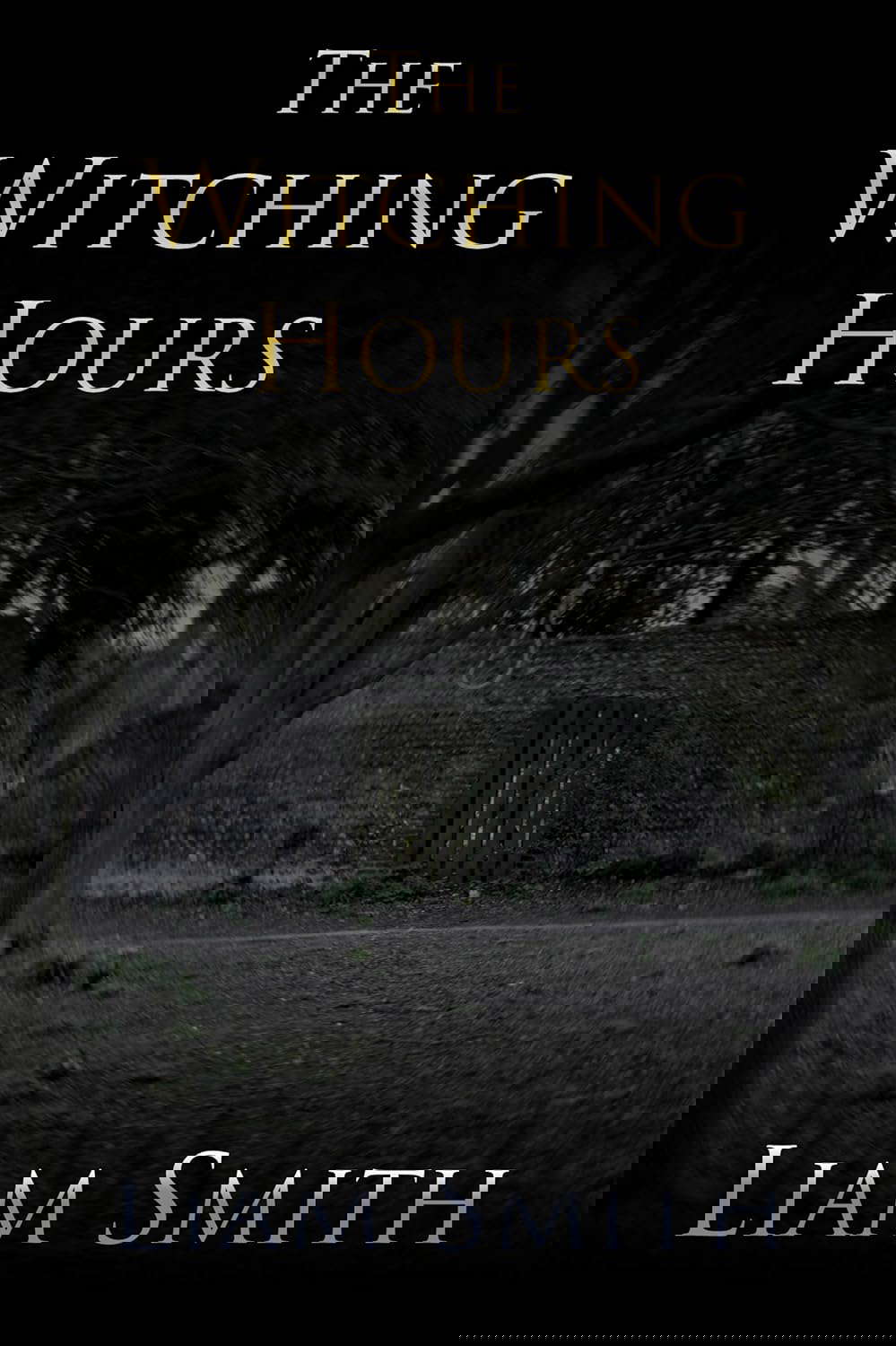 The Witching Hours poster