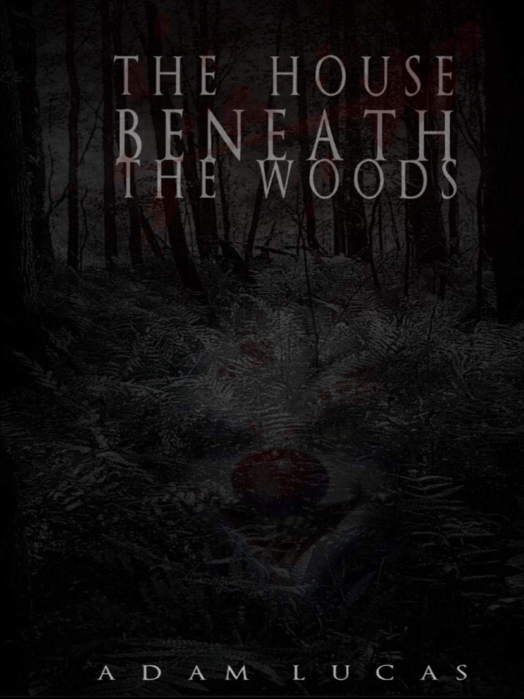The House Beneath the Woods poster