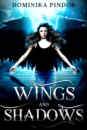 Wings and Shadows poster