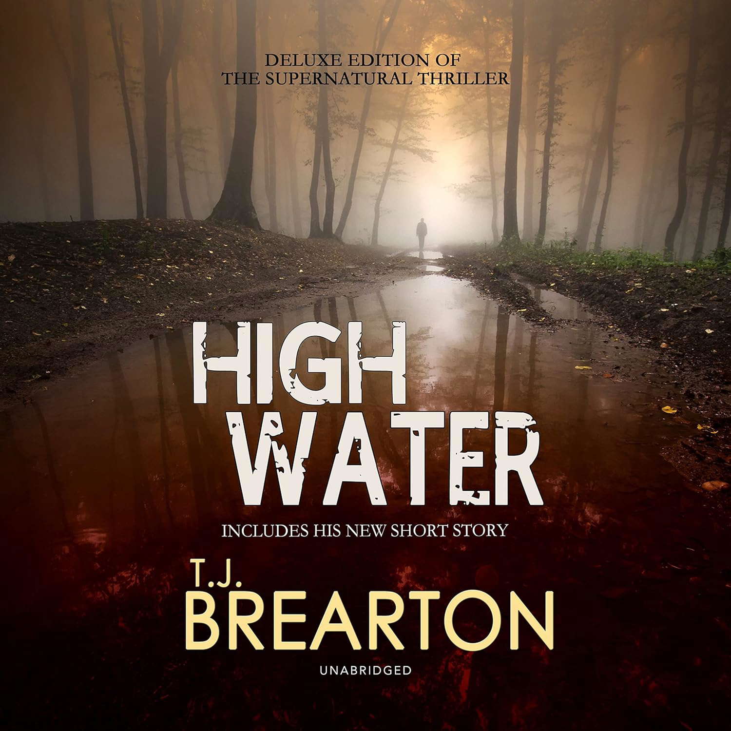 Highwater poster