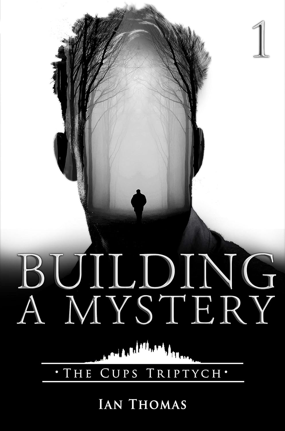 Building a Mystery (The Cups Triptych Book 1) poster