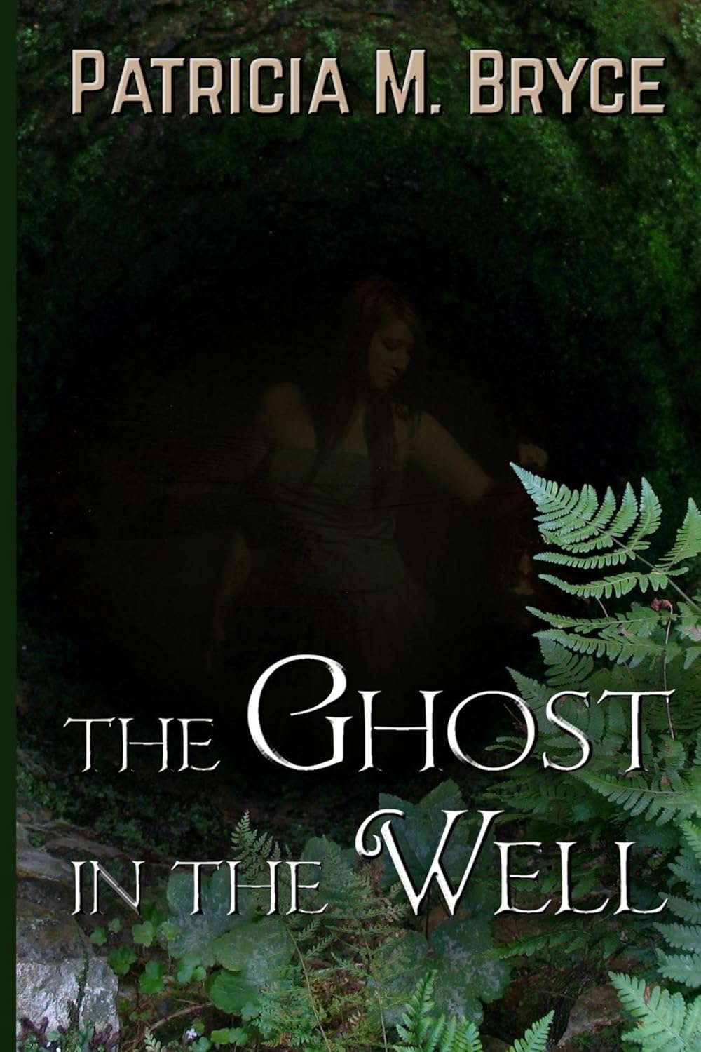 The Ghost in the Well poster