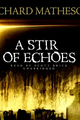 A Stir of Echoes poster