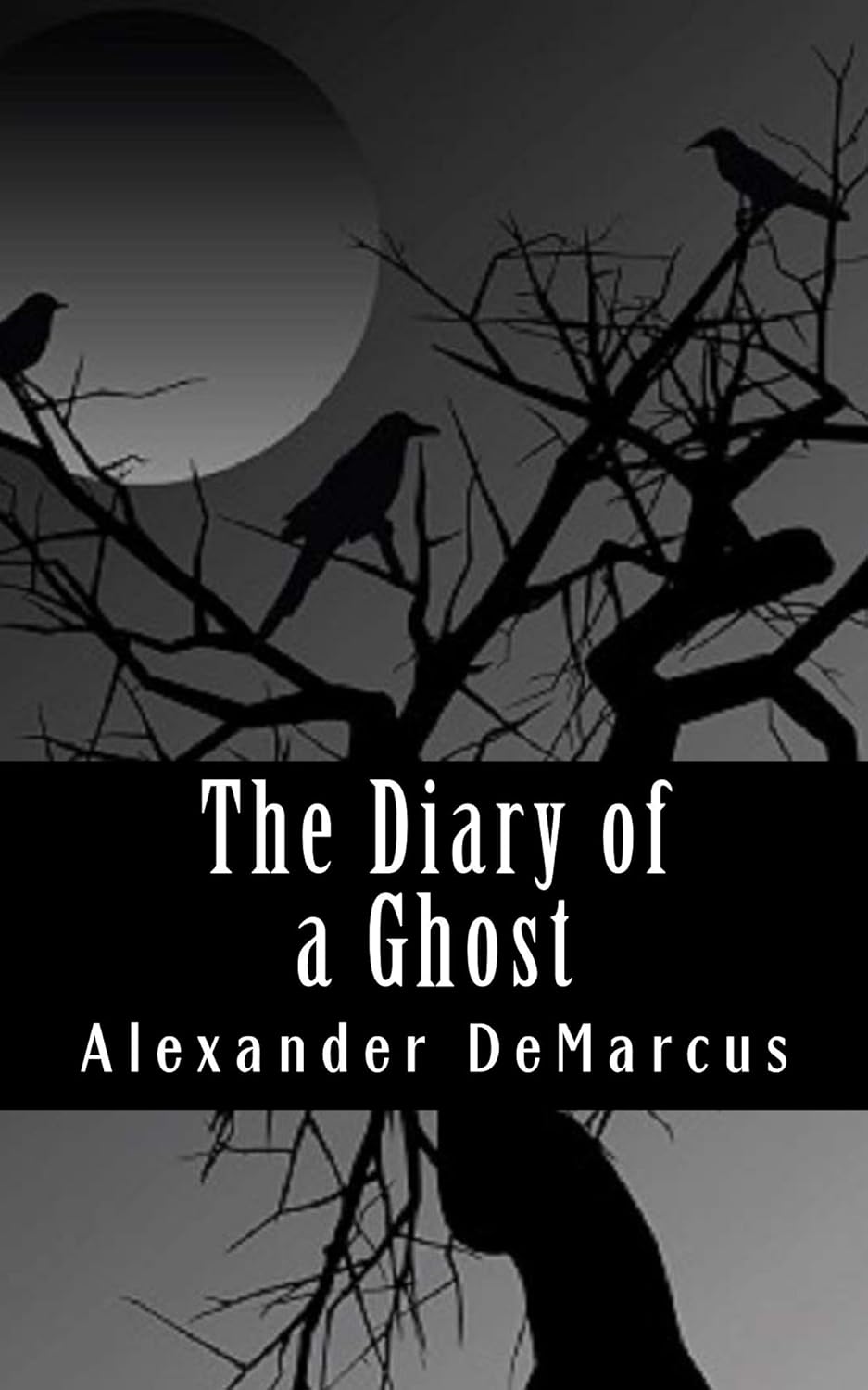 The Diary of a Ghost: The Mysteries of Ann Roberson poster