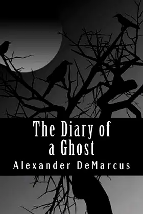 The Diary of a Ghost: The Mysteries of Ann Roberson poster