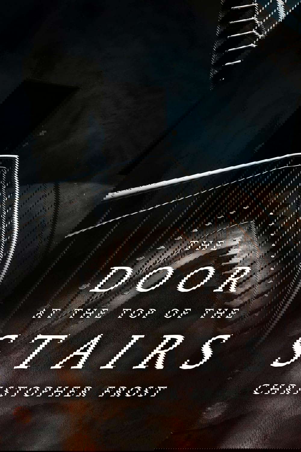 The Door at the Top of the Stairs poster