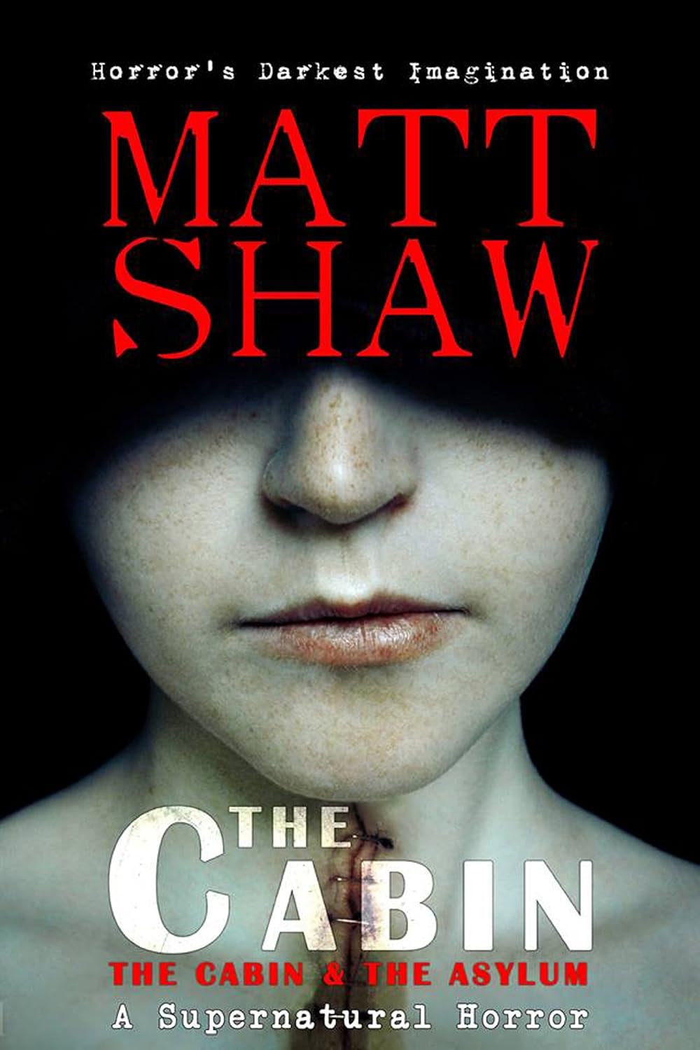 The Cabin Books: The Cabin and The Asylum poster