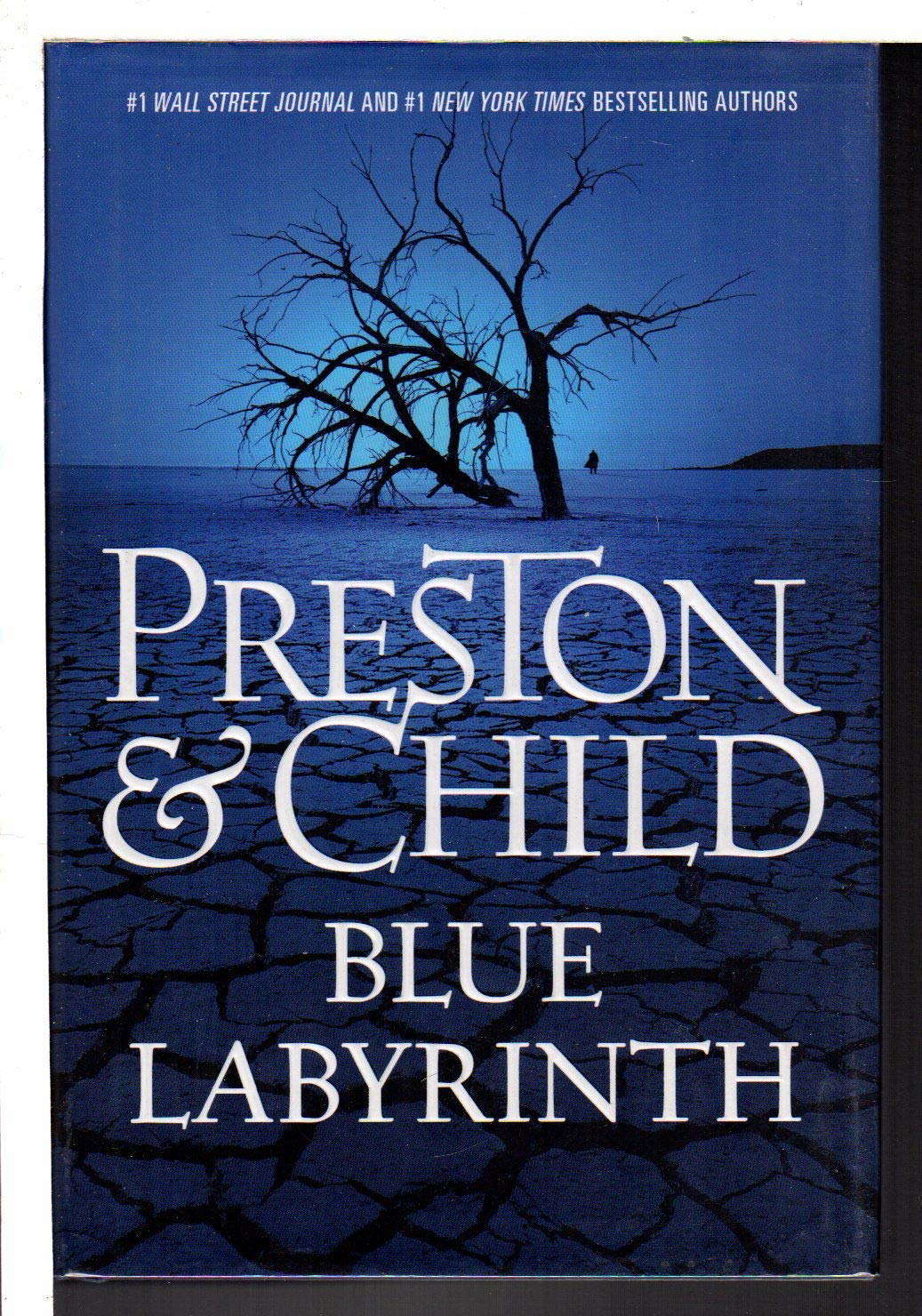 Blue Labyrinth (Agent Pendergast Series, 14) poster