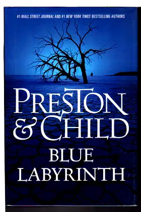 Blue Labyrinth (Agent Pendergast Series, 14) poster