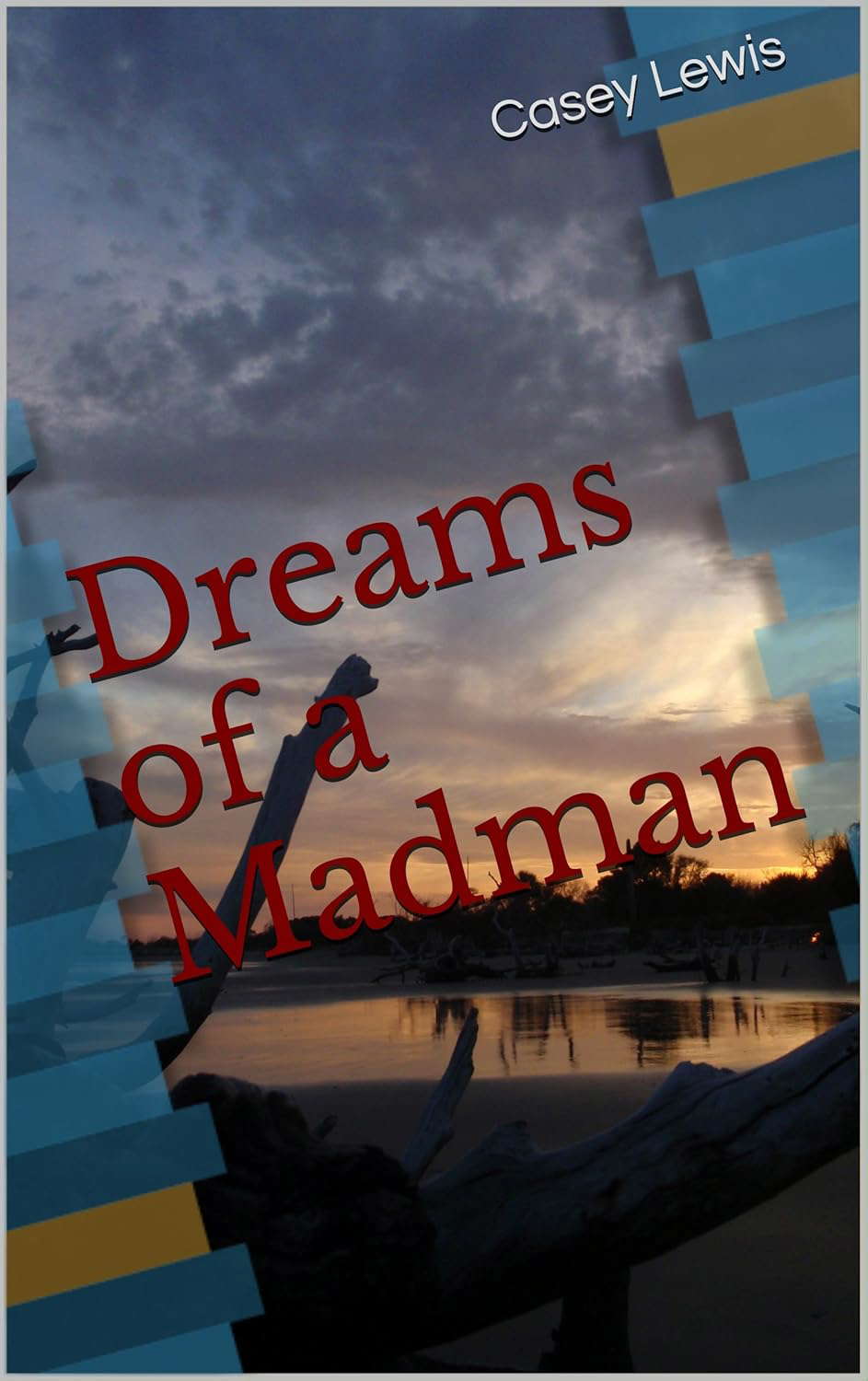 Dreams of a Madman poster
