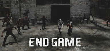 EndGame capsule