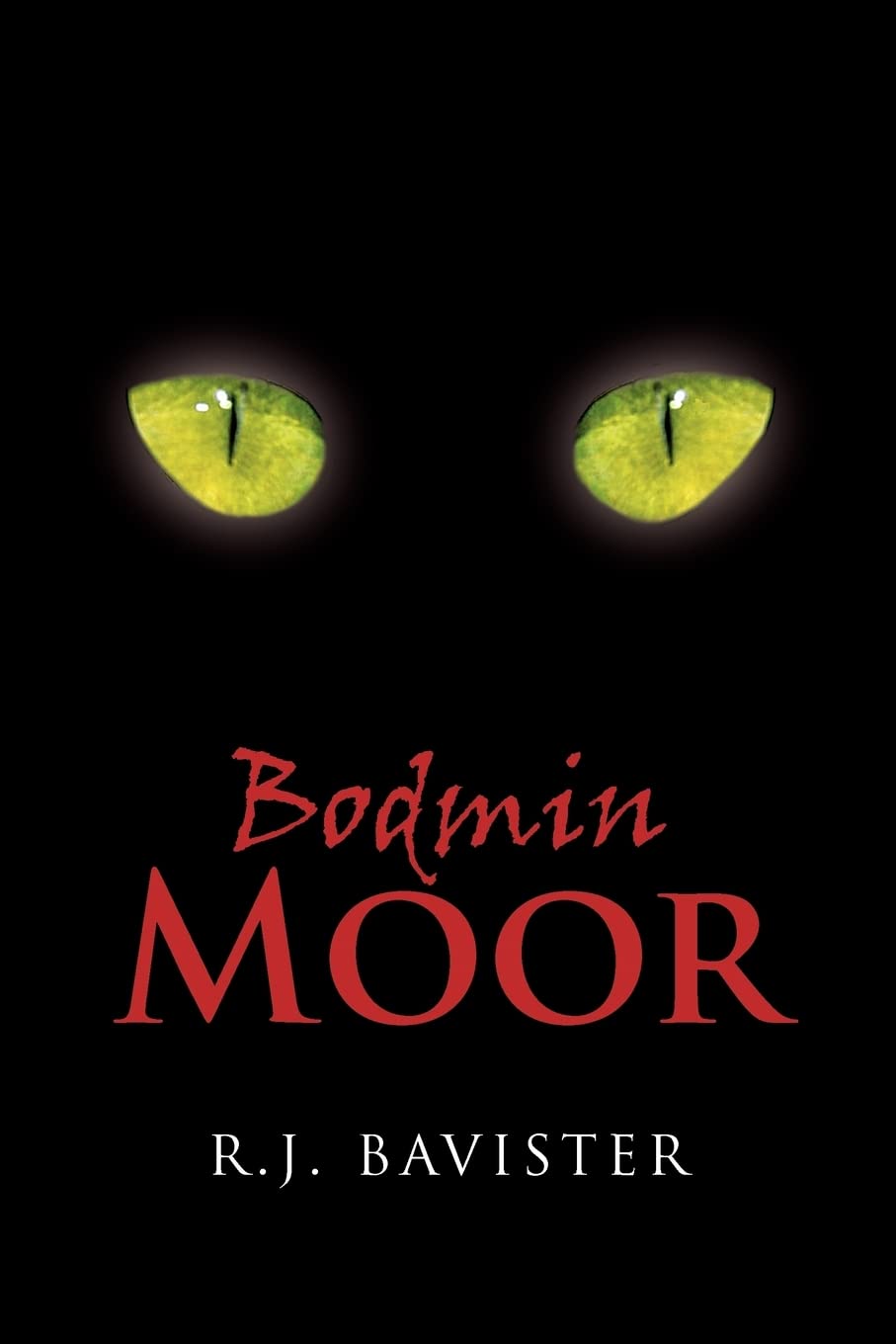 Bodmin Moor poster