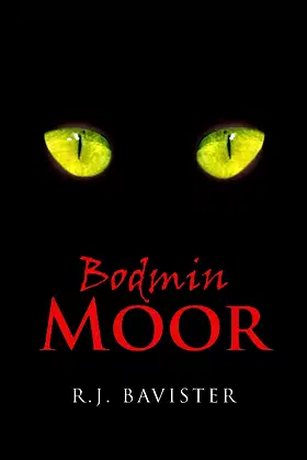 Bodmin Moor poster