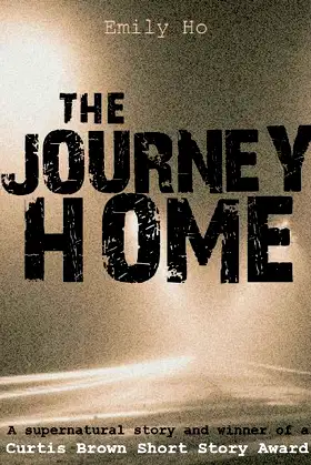 The Journey Home poster