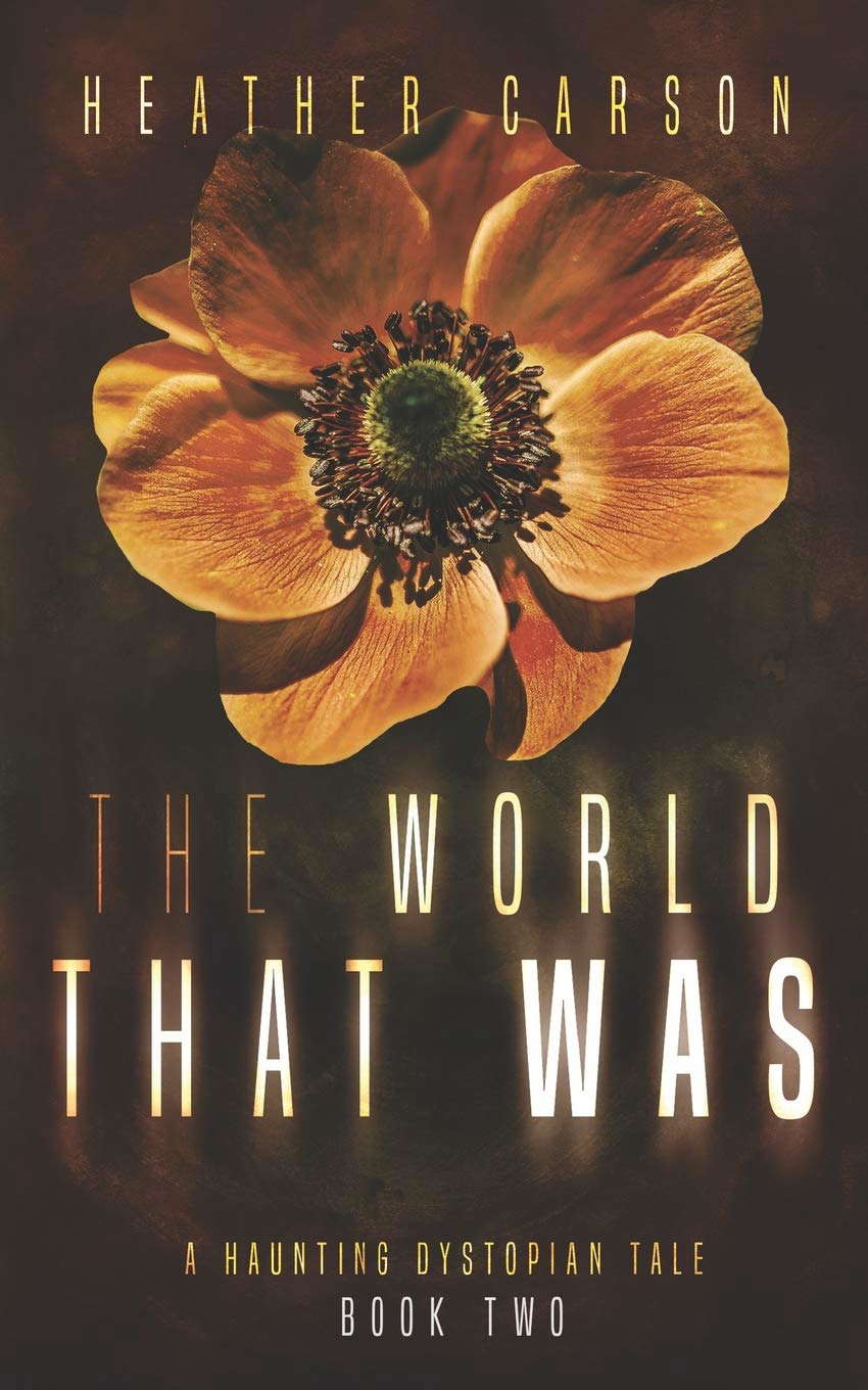 The World that Was: A Haunting Dystopian Tale Book 2 poster