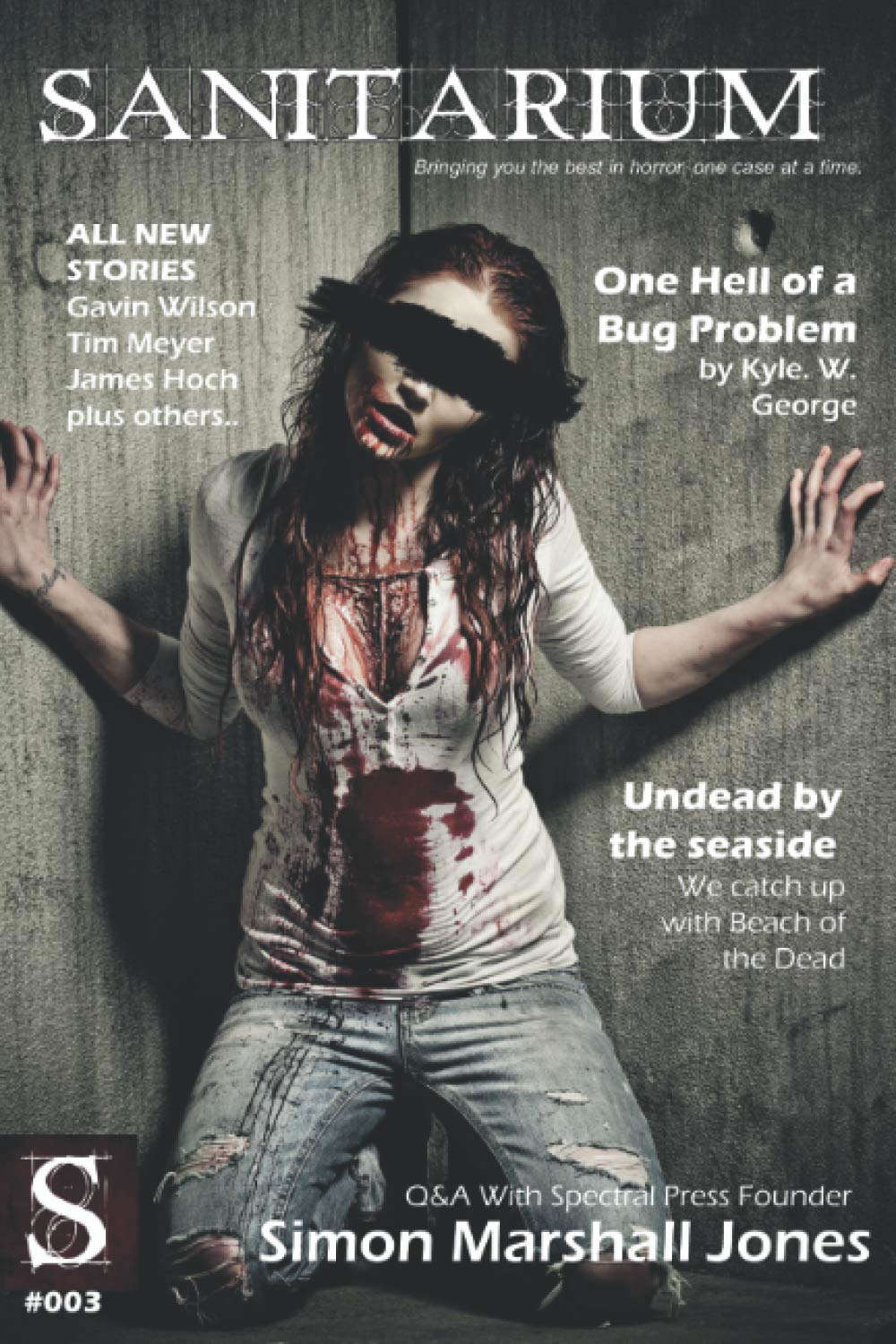 Sanitarium Issue #3: Sanitarium Magazine Issue #3 2012 edition poster