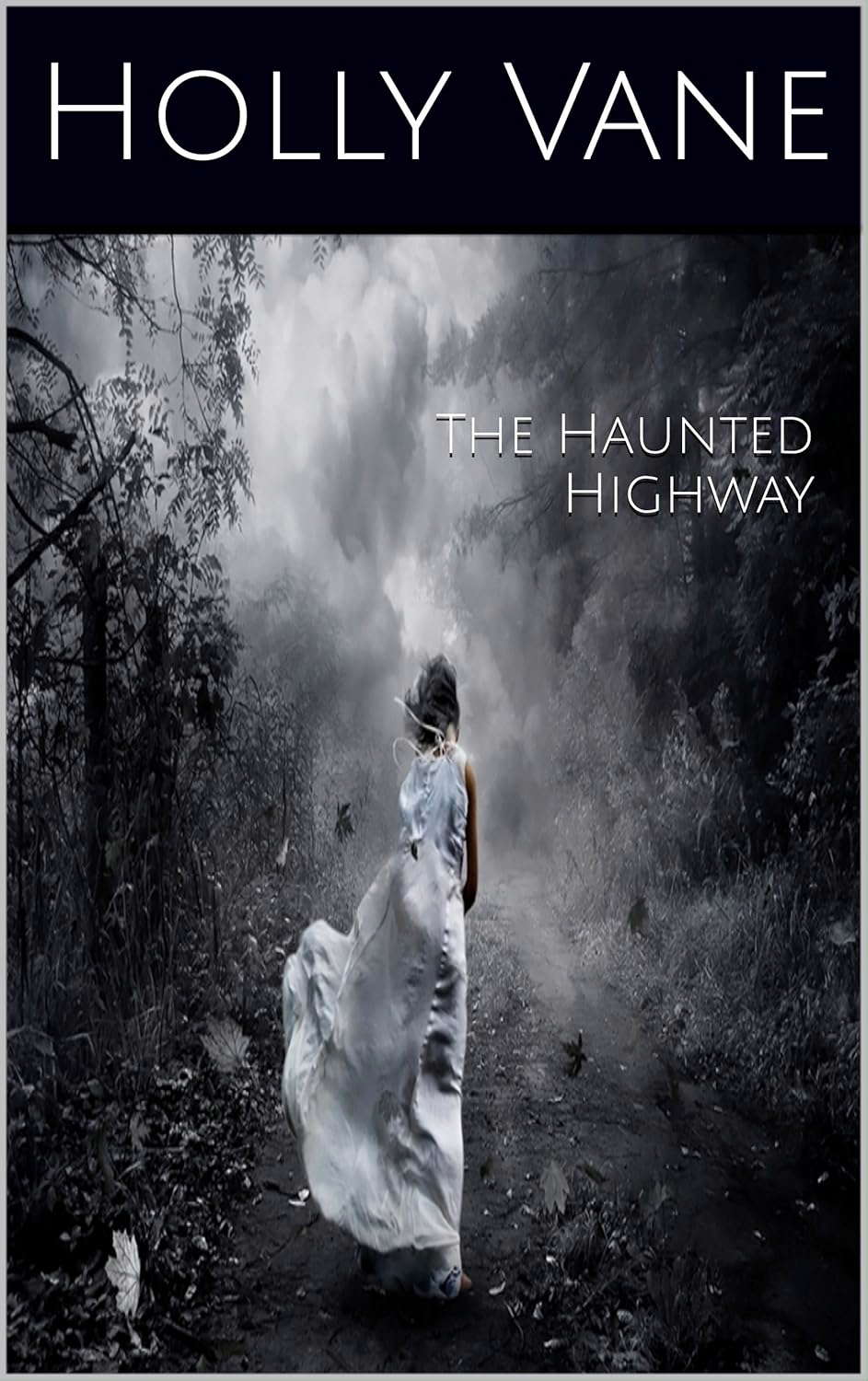 The Haunted Highway (The Ghost Files Book 1) poster