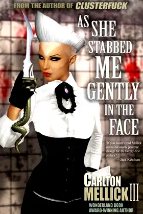 As She Stabbed Me Gently in the Face poster