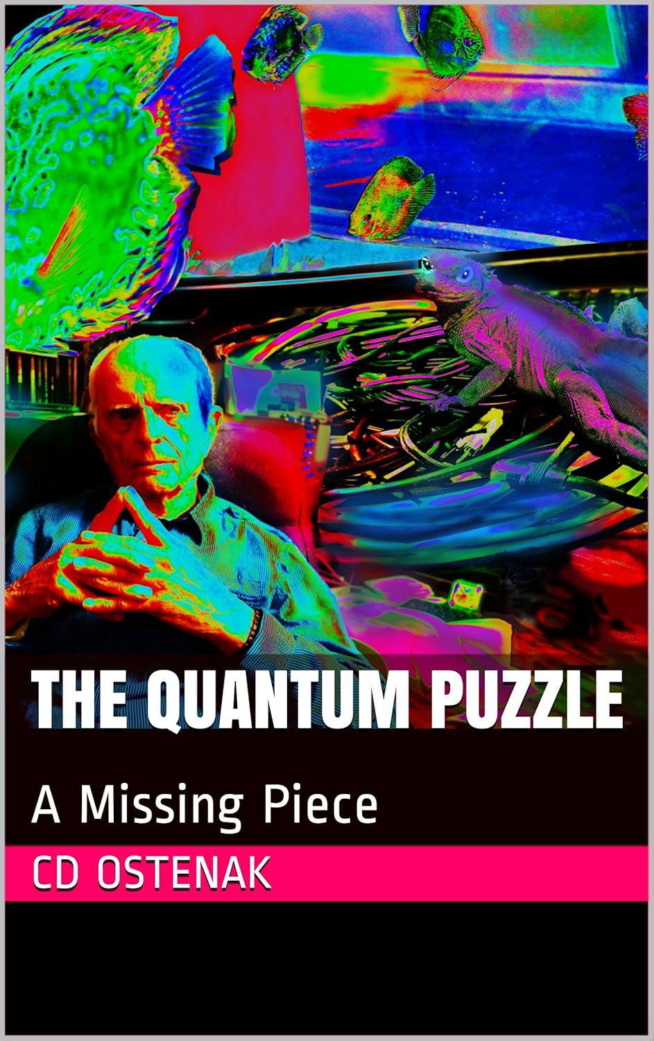 The Quantum Puzzle: A Missing Piece poster