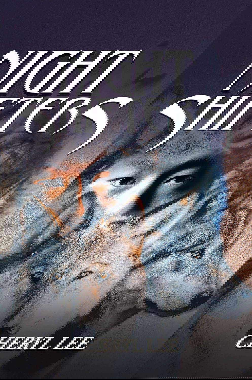Night Shifters poster
