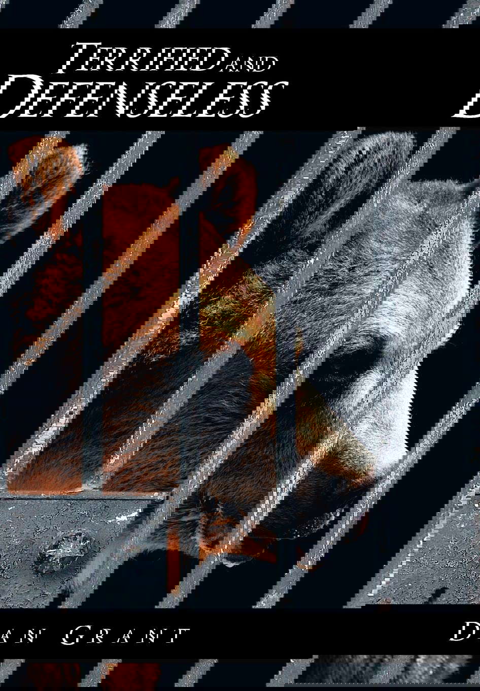 Terrified and Defenseless poster