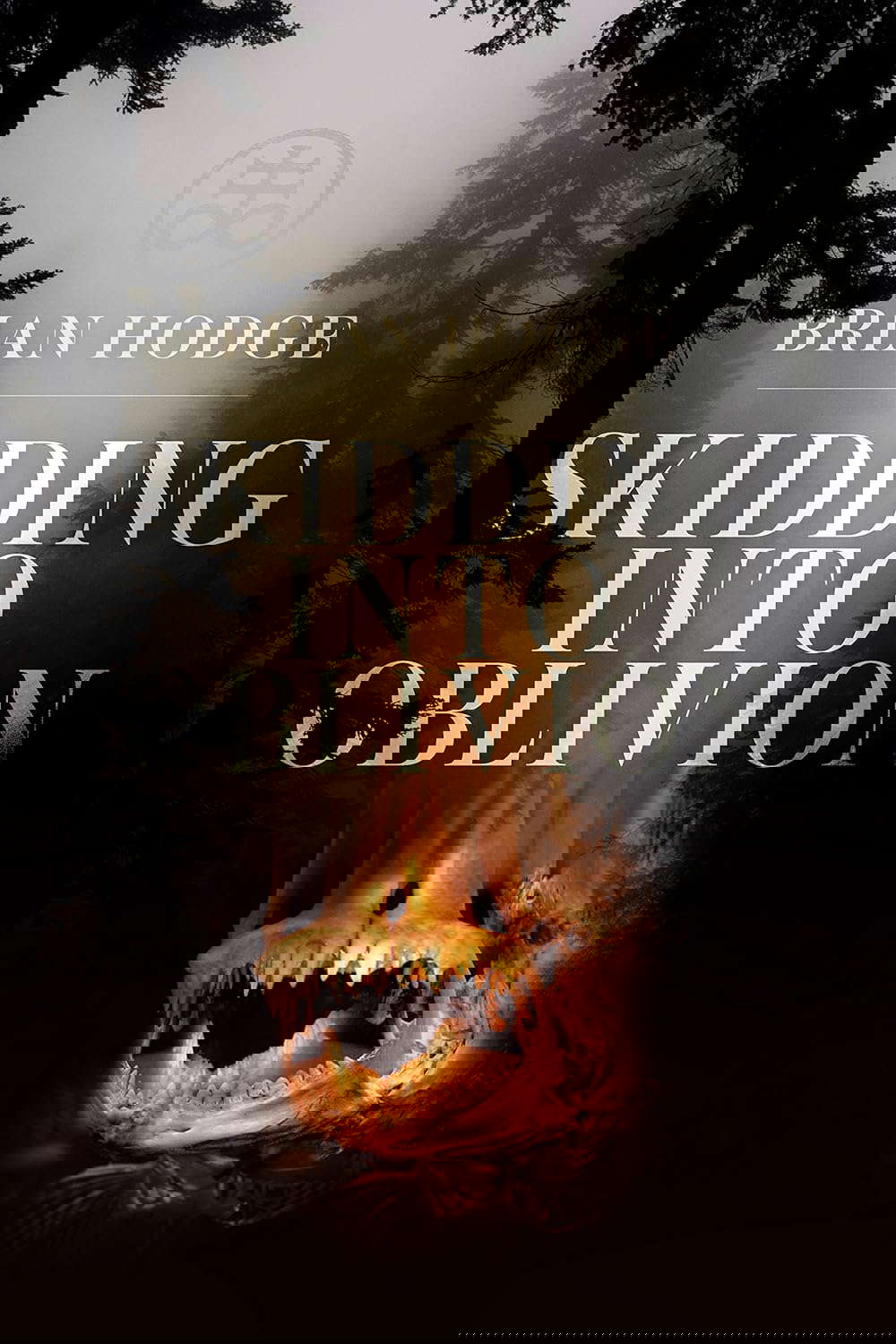 Skidding Into Oblivion poster