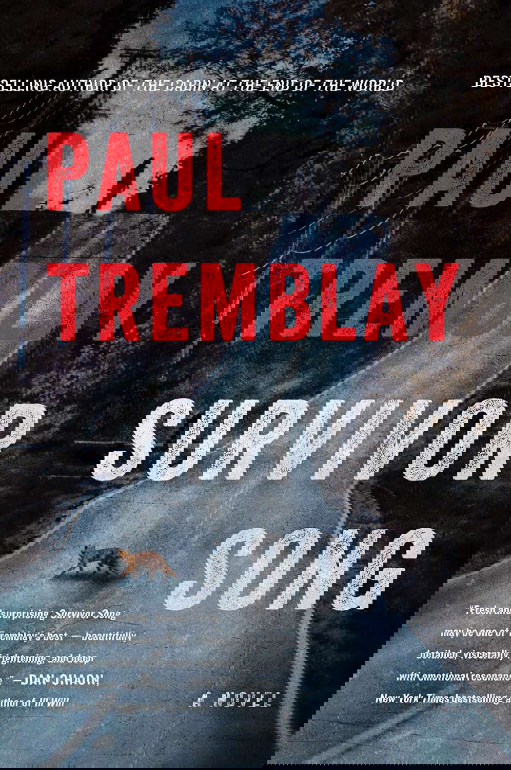 Survivor Song: A Novel poster