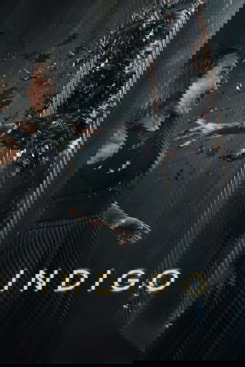 Indigo poster