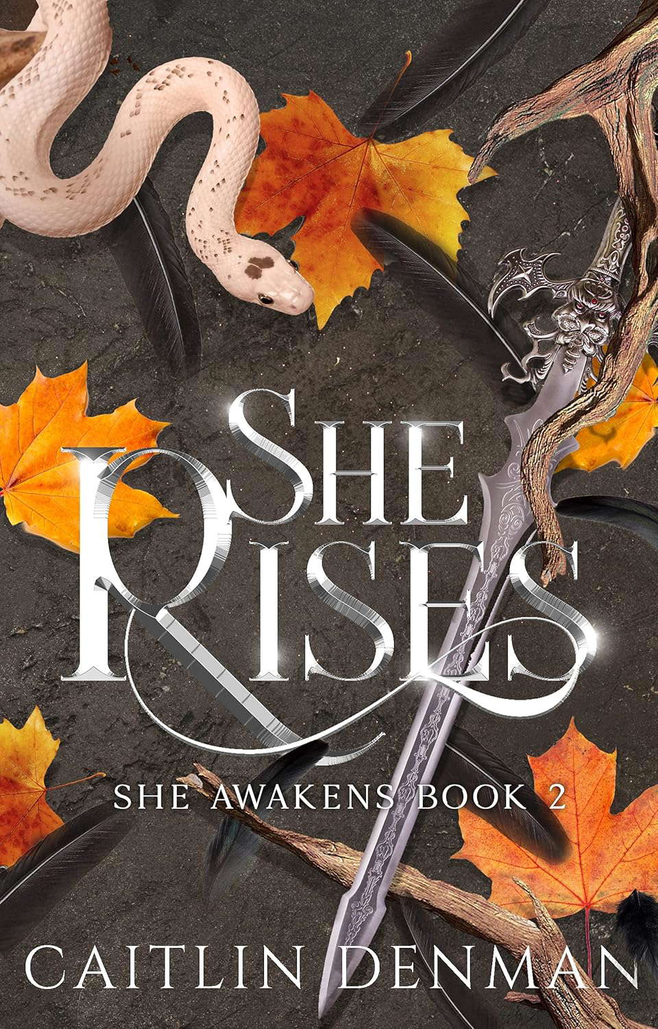 She Rises (She Awakens Book 2) poster