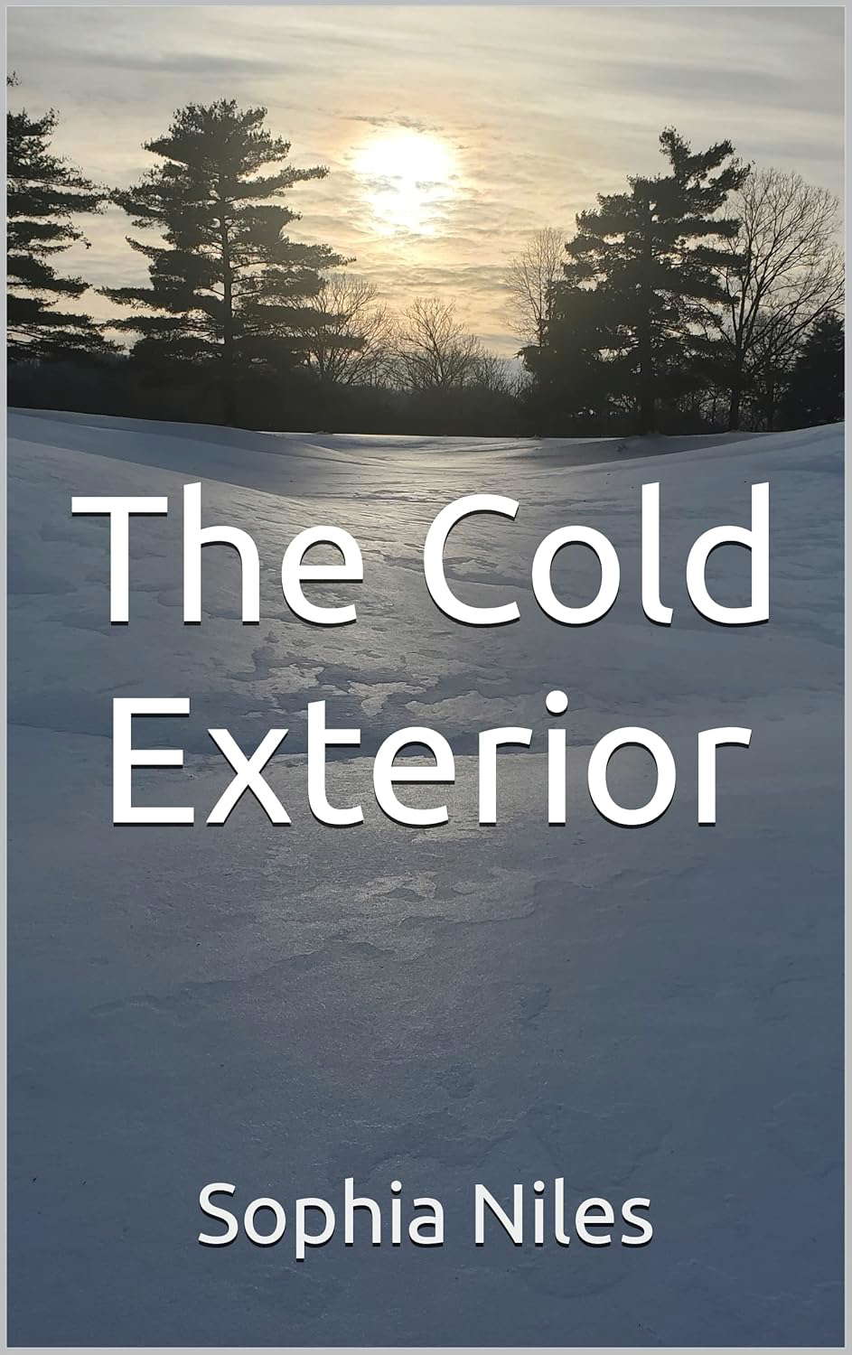 The Cold Exterior poster