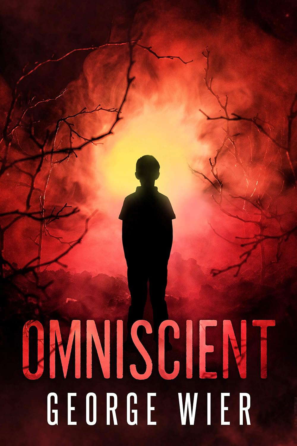 Omniscient poster