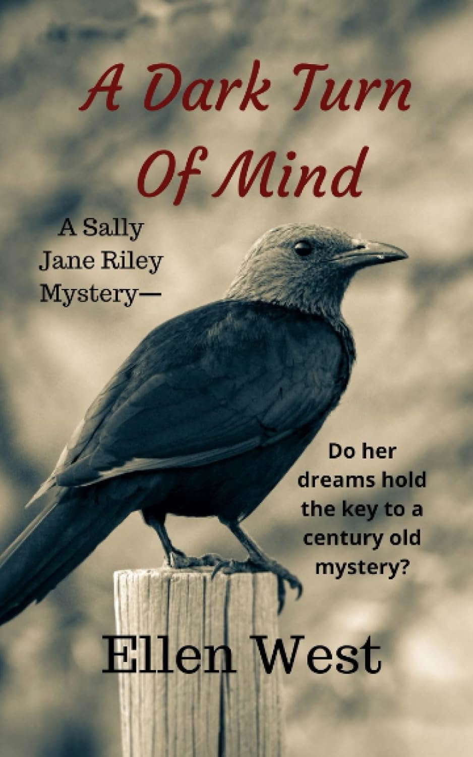 A Dark Turn Of Mind (A Sally Jane Riley Mystery) poster