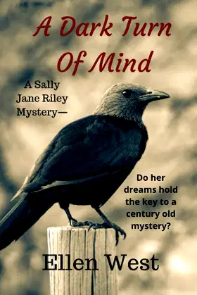 A Dark Turn Of Mind (A Sally Jane Riley Mystery) poster