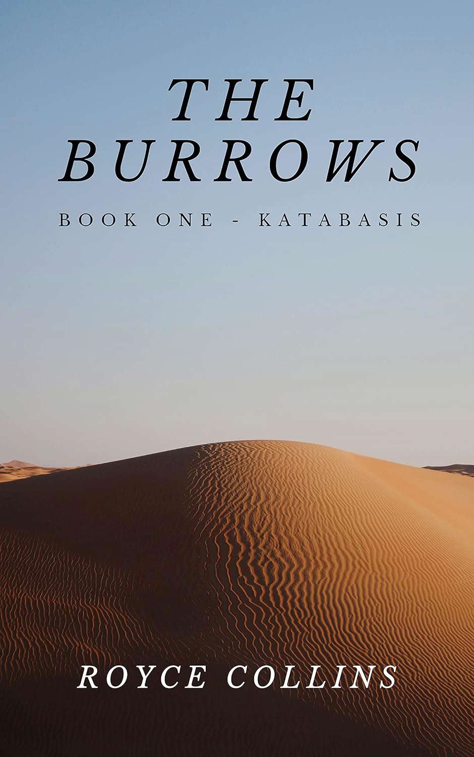 The Burrows - Book One: Katabasis poster