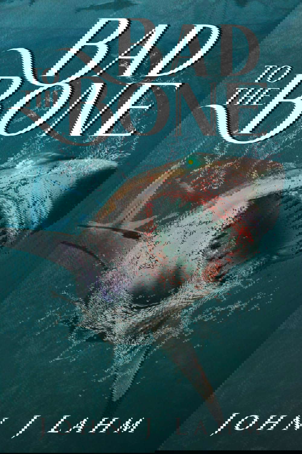 Bad to the Bone poster