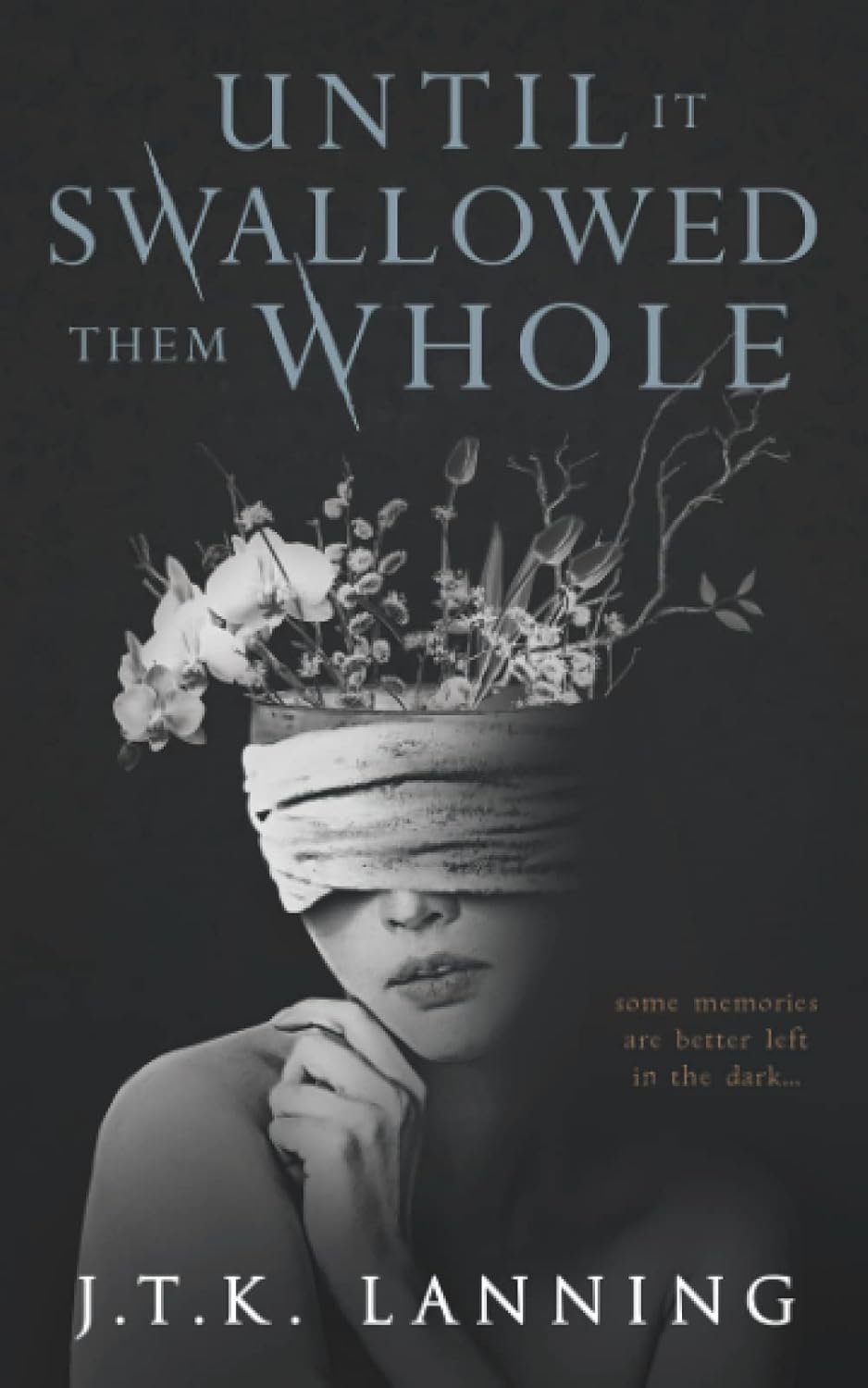 Until It Swallowed Them Whole poster