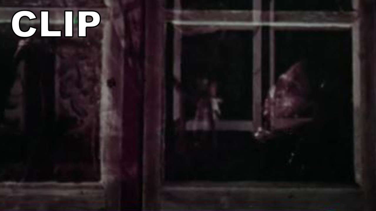 TV Spot