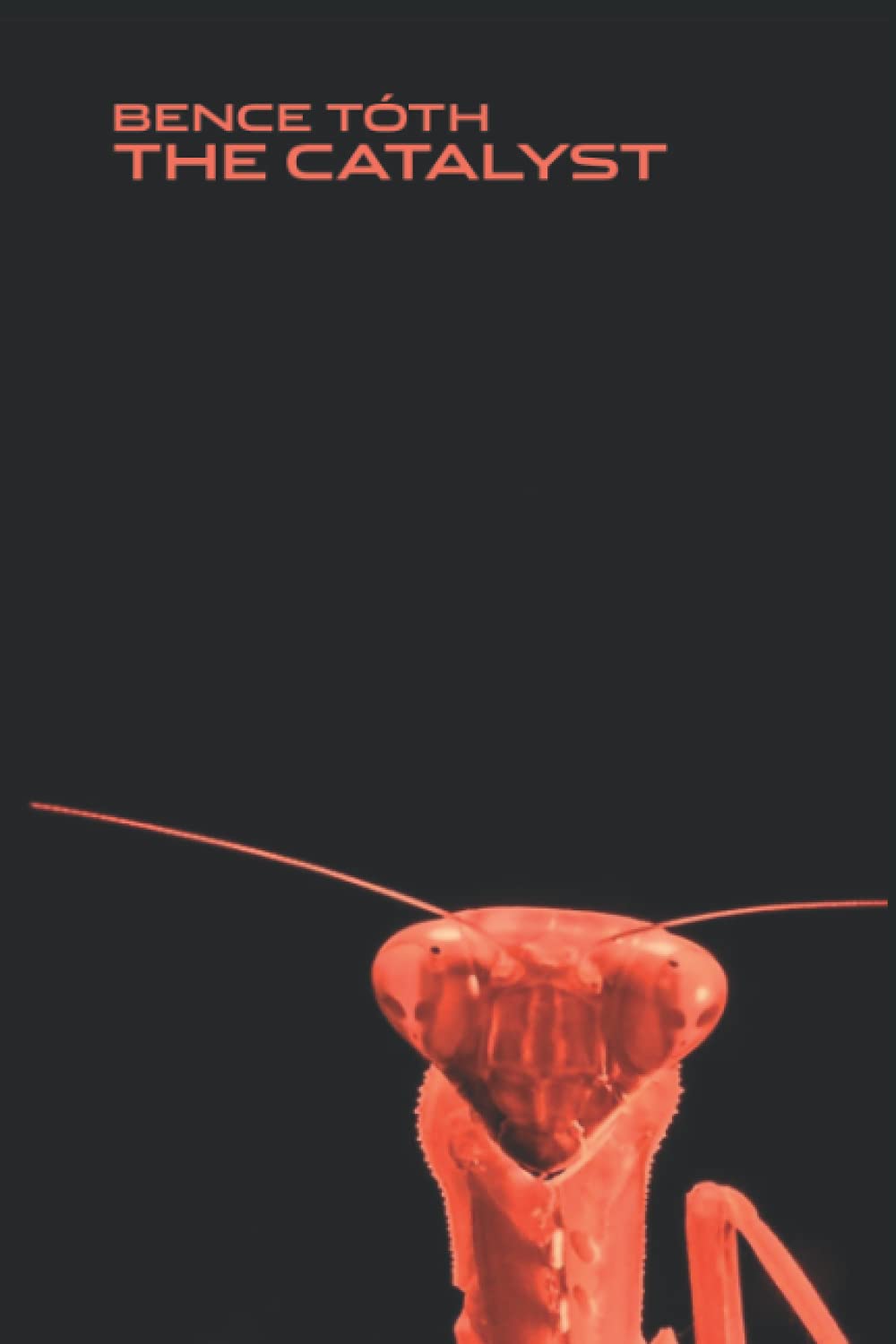 The Catalyst poster