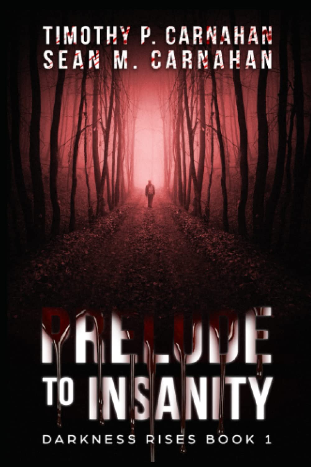 Prelude to Insanity (Darkness Rises) poster